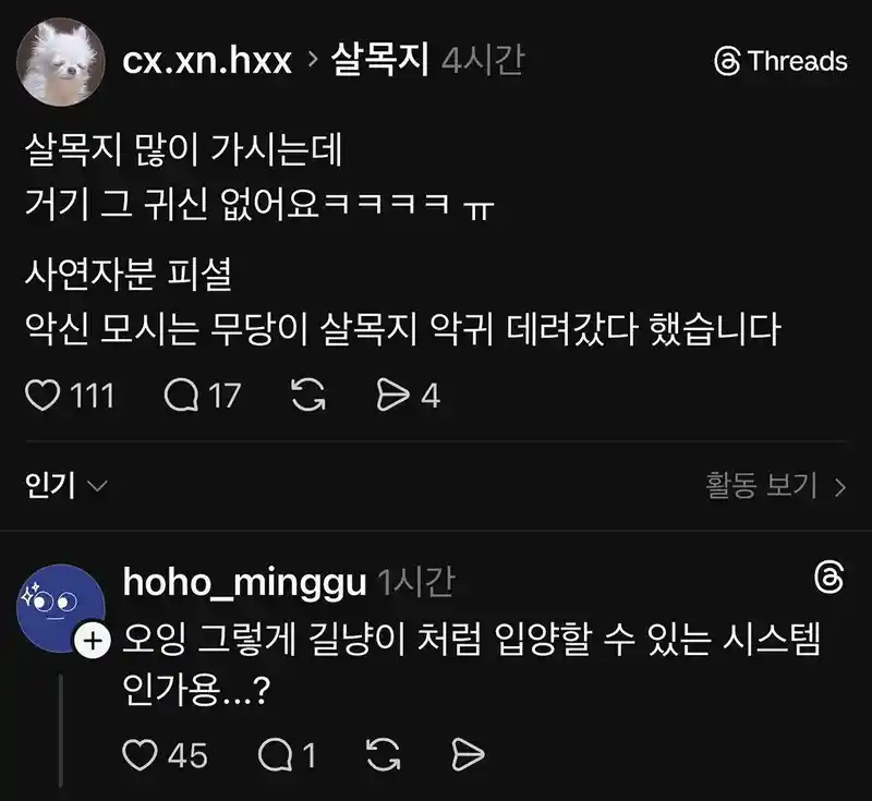 지금 살목지에는 가도 귀신이 없다고 함