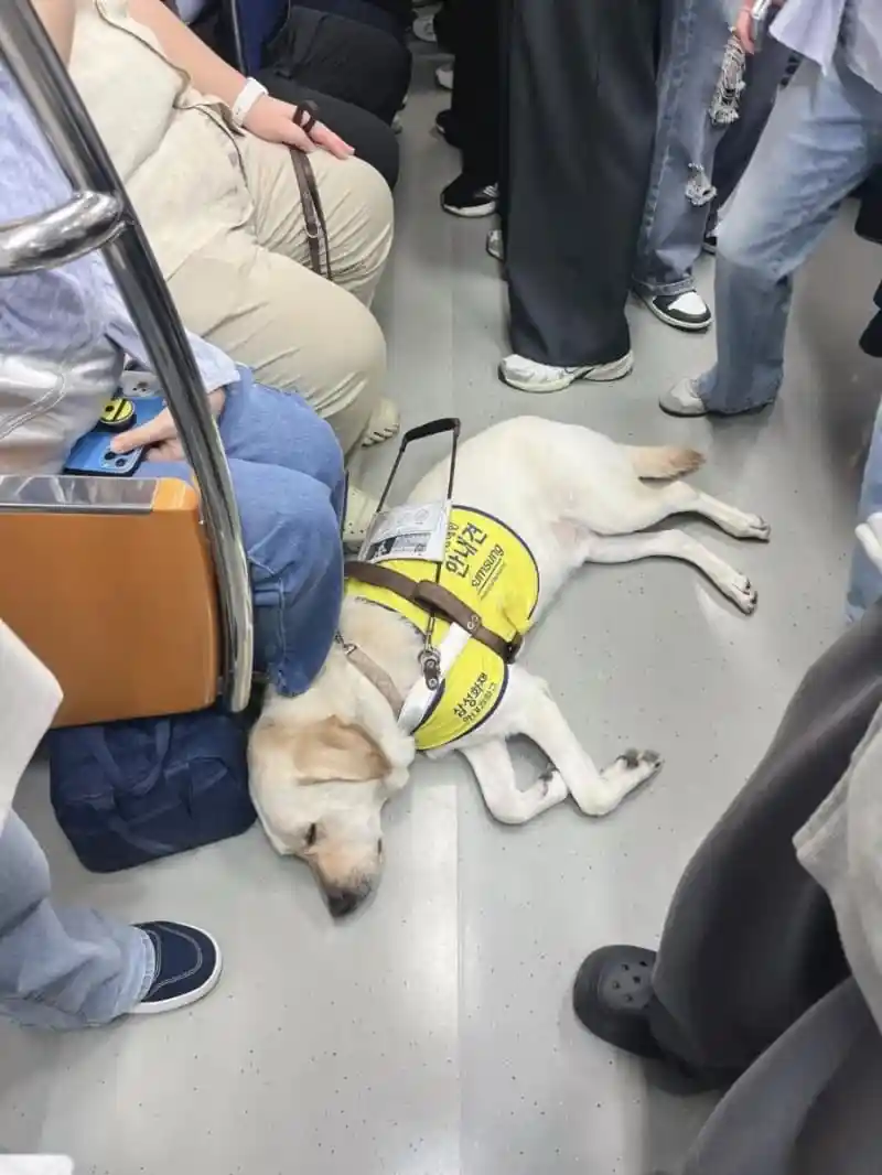 출근길 만원 지하철에서 느꼈던 따스함.jpg