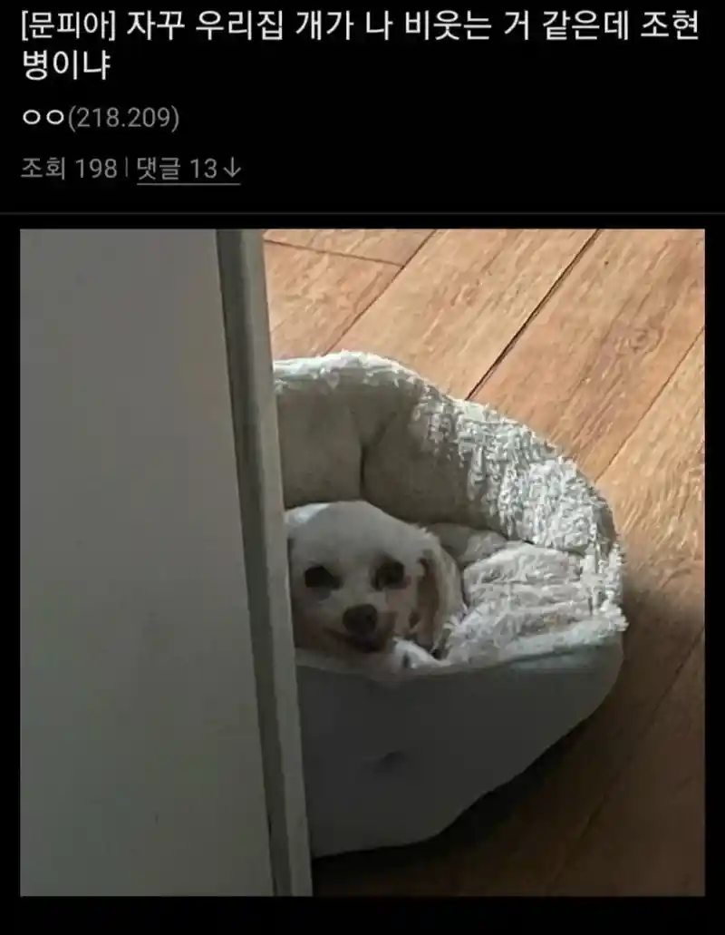 자기가 조현병이 의심된다는 사람