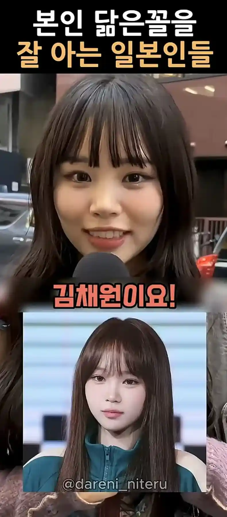 본인 누구 닮았다고 들어봤나요?