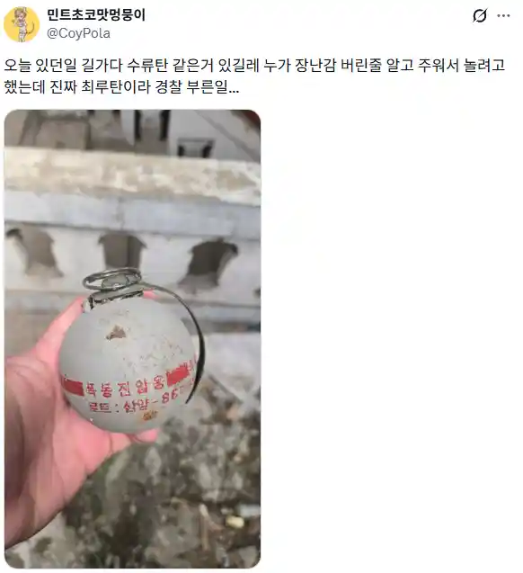 남양주에서 길가다가 수류탄 주운 트위터인.jpg
