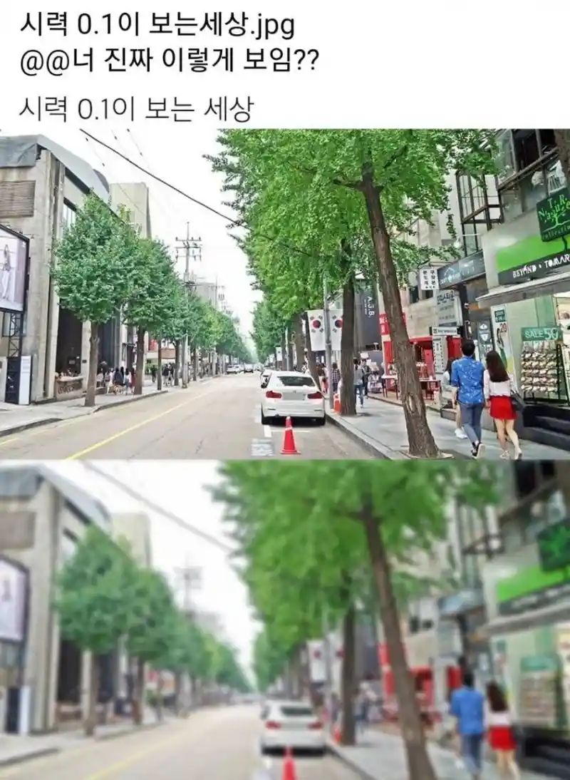 시력 0.1이 보는세상