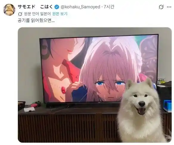 분위기 못 읽는 개