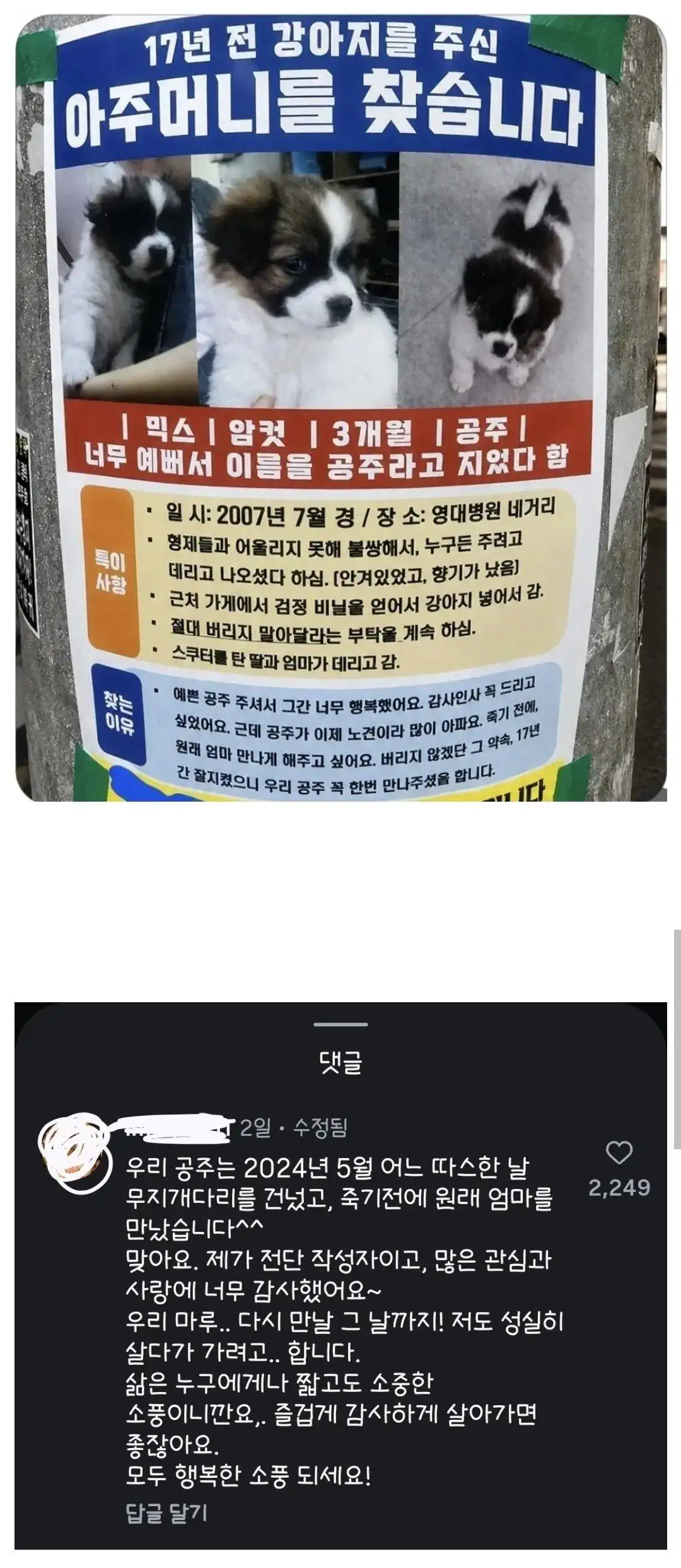 17년전 강아지를 준 아줌마를 찾던 전단지 후기.jpg