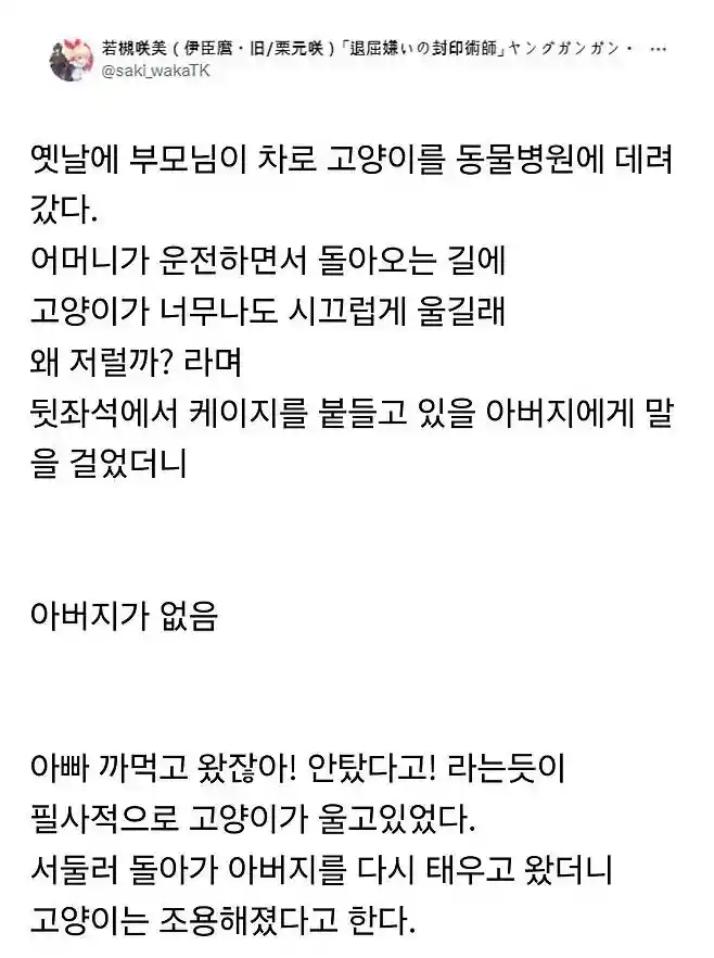 동물병원 다녀온 고양이가 울었던 이유