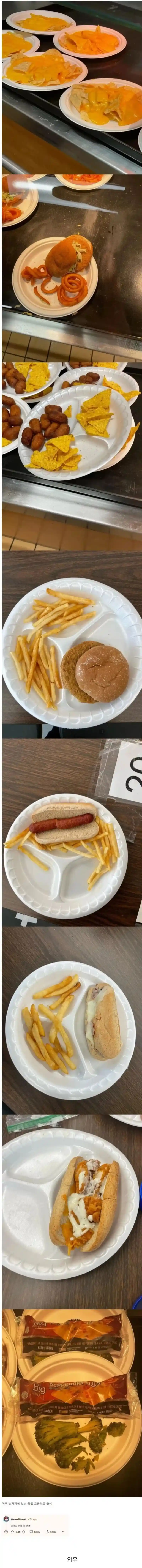 미국 공립학교 급식수준.jpg