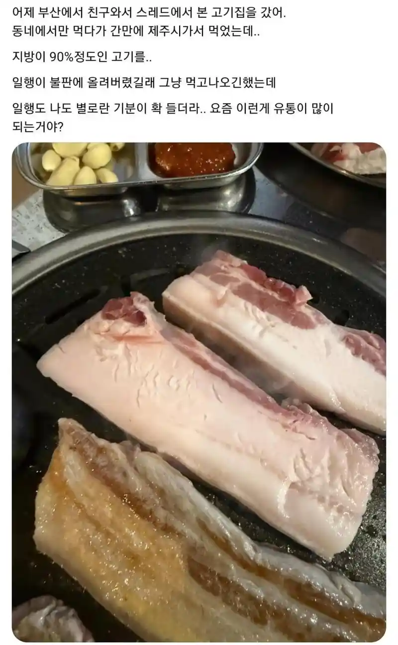 제주 비계돼지 삼겹살 시즌2 시작