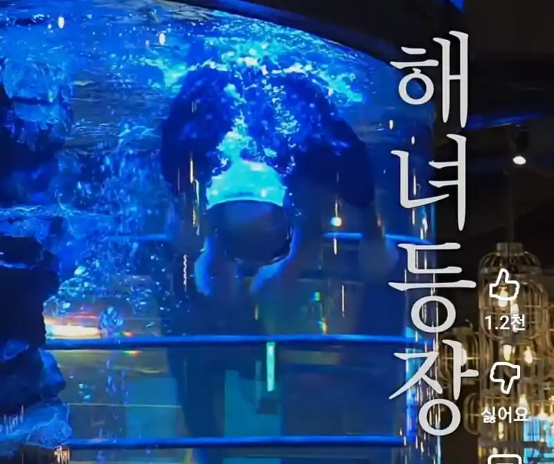 물질하러 간 j해녀보러갔다가 생긴일