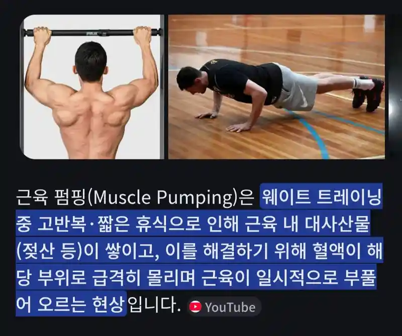 헬스 근육펌핑 원리
