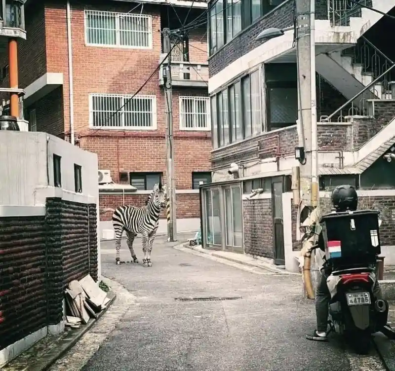 다시 봐도 믿기지 않는 장면.jpg