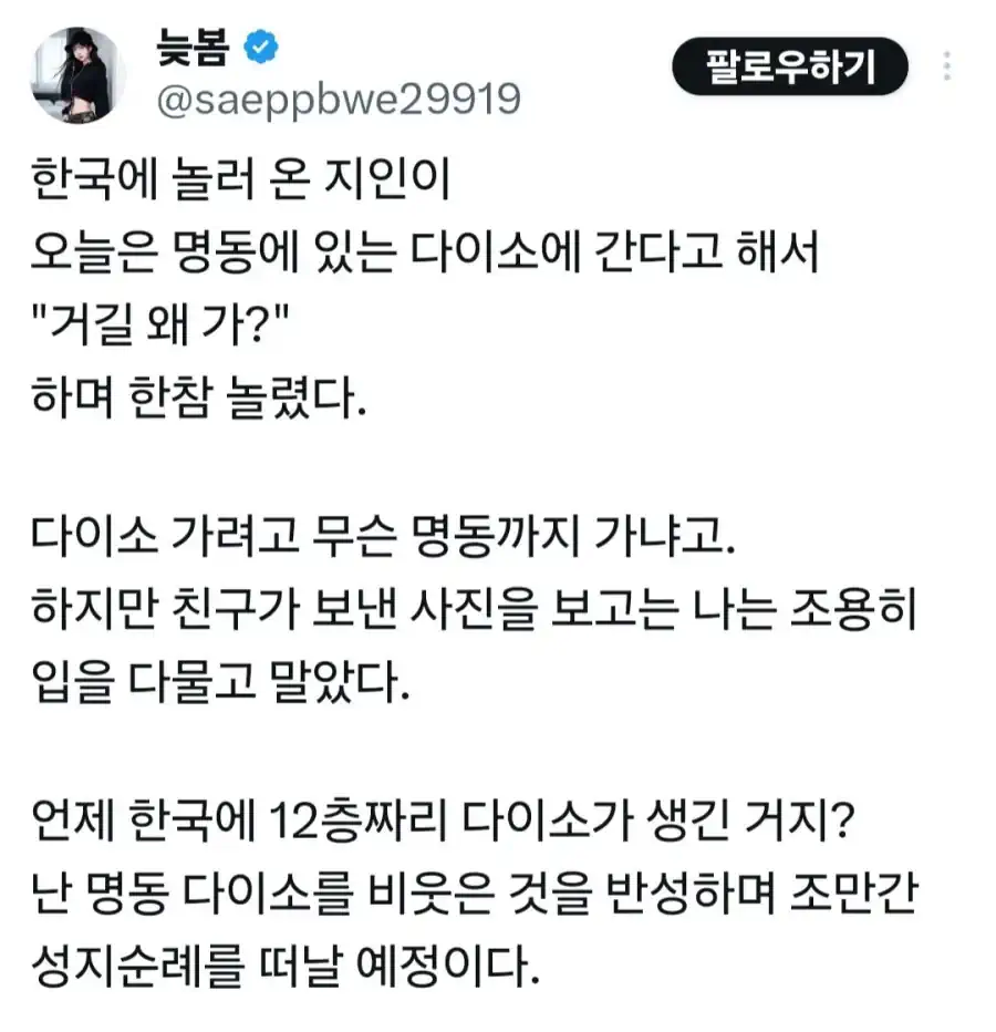 일본 지인의 한국 다이소 성지순례.jpg