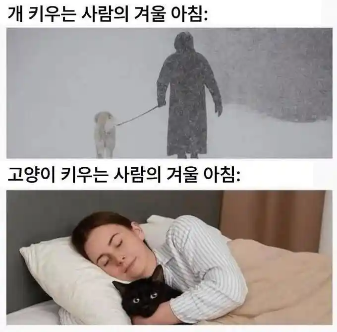 멍집사와 냥집사의 겨울 아침 모습