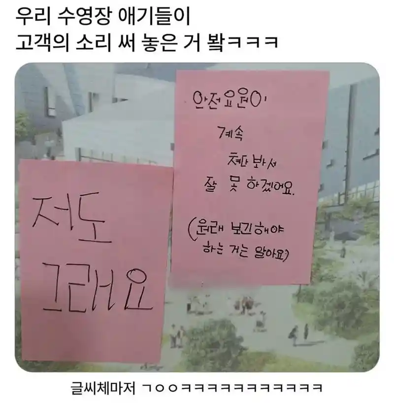 수영장 애기들이 쓴 고객의 소리