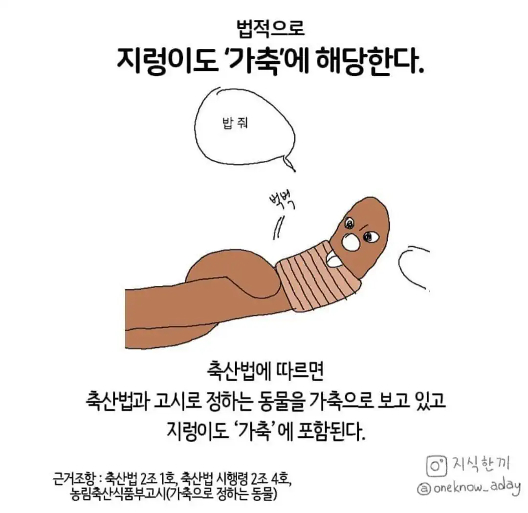 의외로 가축인 것.jpg