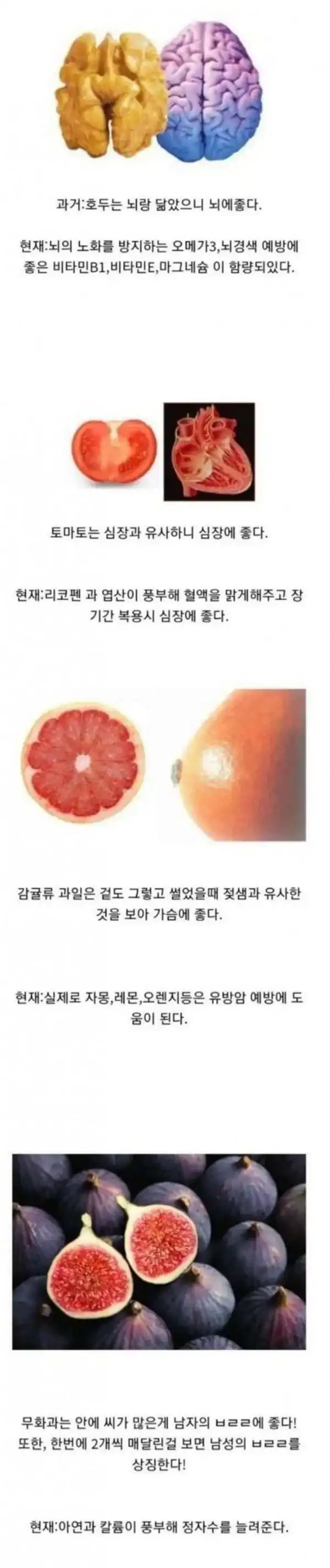 신체부위를 닮아 몸에 더 좋은 음식.jpg