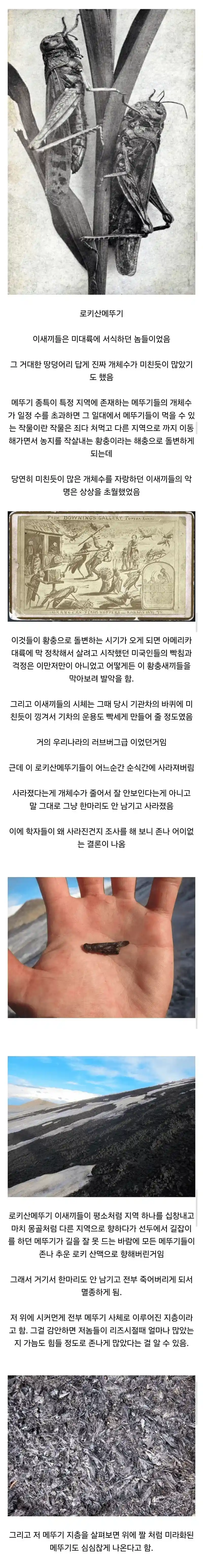 멸종 원인이 가장 골때리는 곤충 원탑 ㅋㅋㅋㅋㅋㅋㅋㅋ