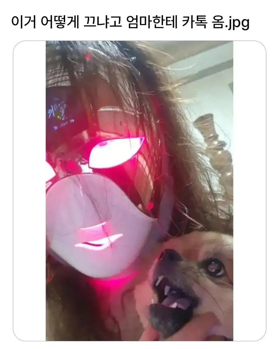 이거 어떻게 끄냐고 엄마한테 카톡 옴.x