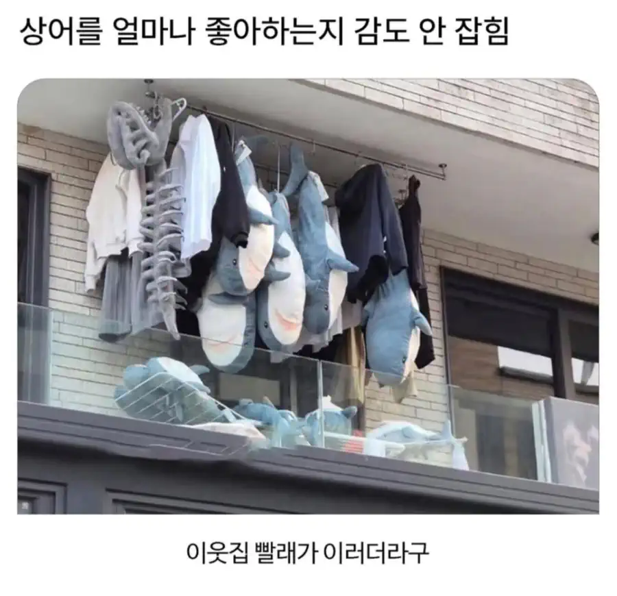 이웃집 상어 좋아 광인.jpg