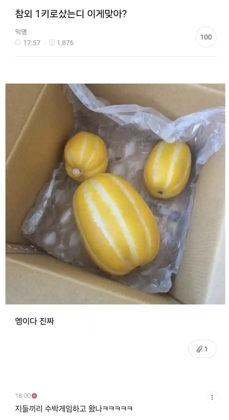 "참외 1kg을 샀는데..."