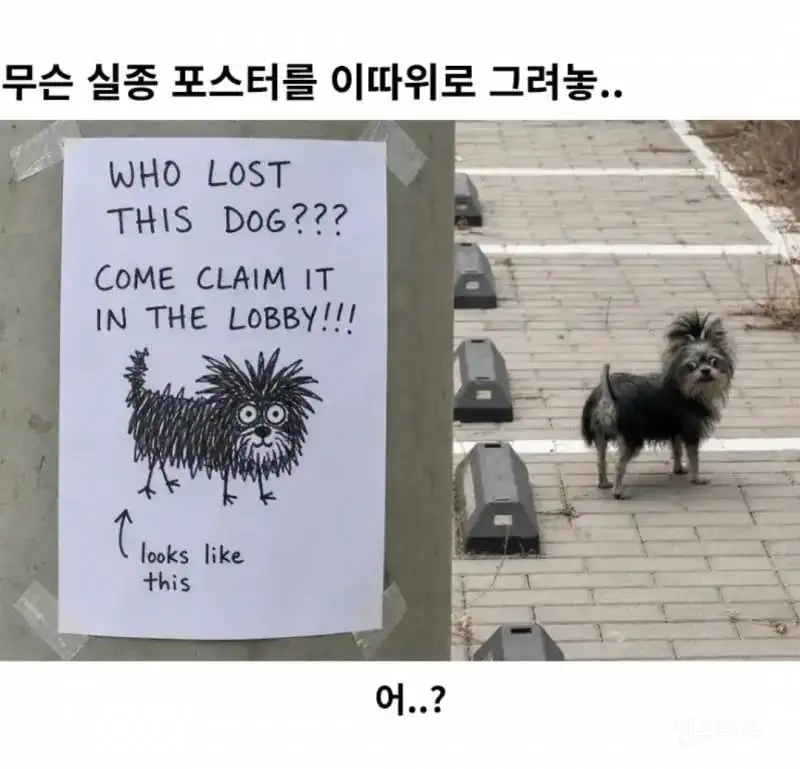 무슨 실종 포스터를 이따위로 그려놓...jpg