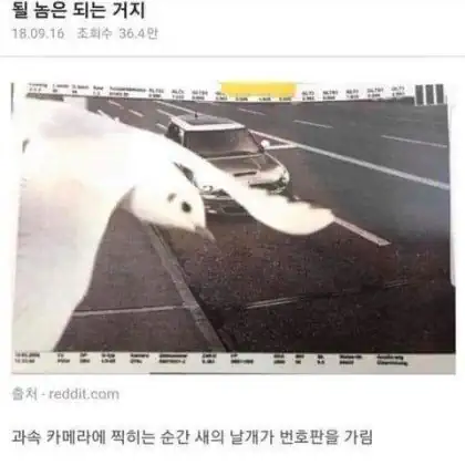 운 좋은 운전자