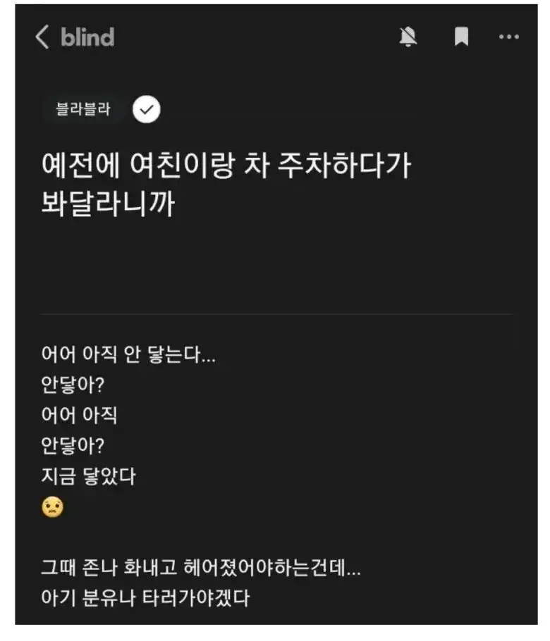 예전에 여친이랑 주차하다가 봐달라니까