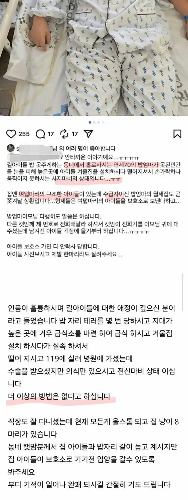 70대 캣맘이 높은곳에 고양이집 설치하다 떨어져 전신마비