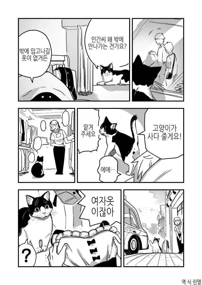 ㅇㅎ) 고양이를 키워야 하는 이유