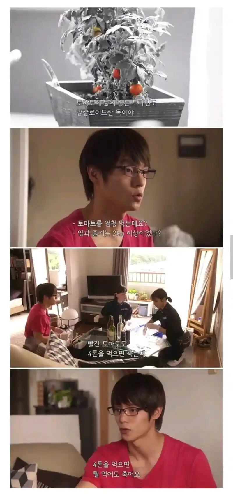 흔한데 의외로 맹독성이라는 식물