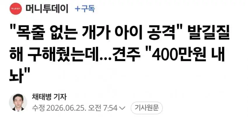 "목줄없는 개가 아이 공격" 발길질해 구해줬는데.."400만원 내놔