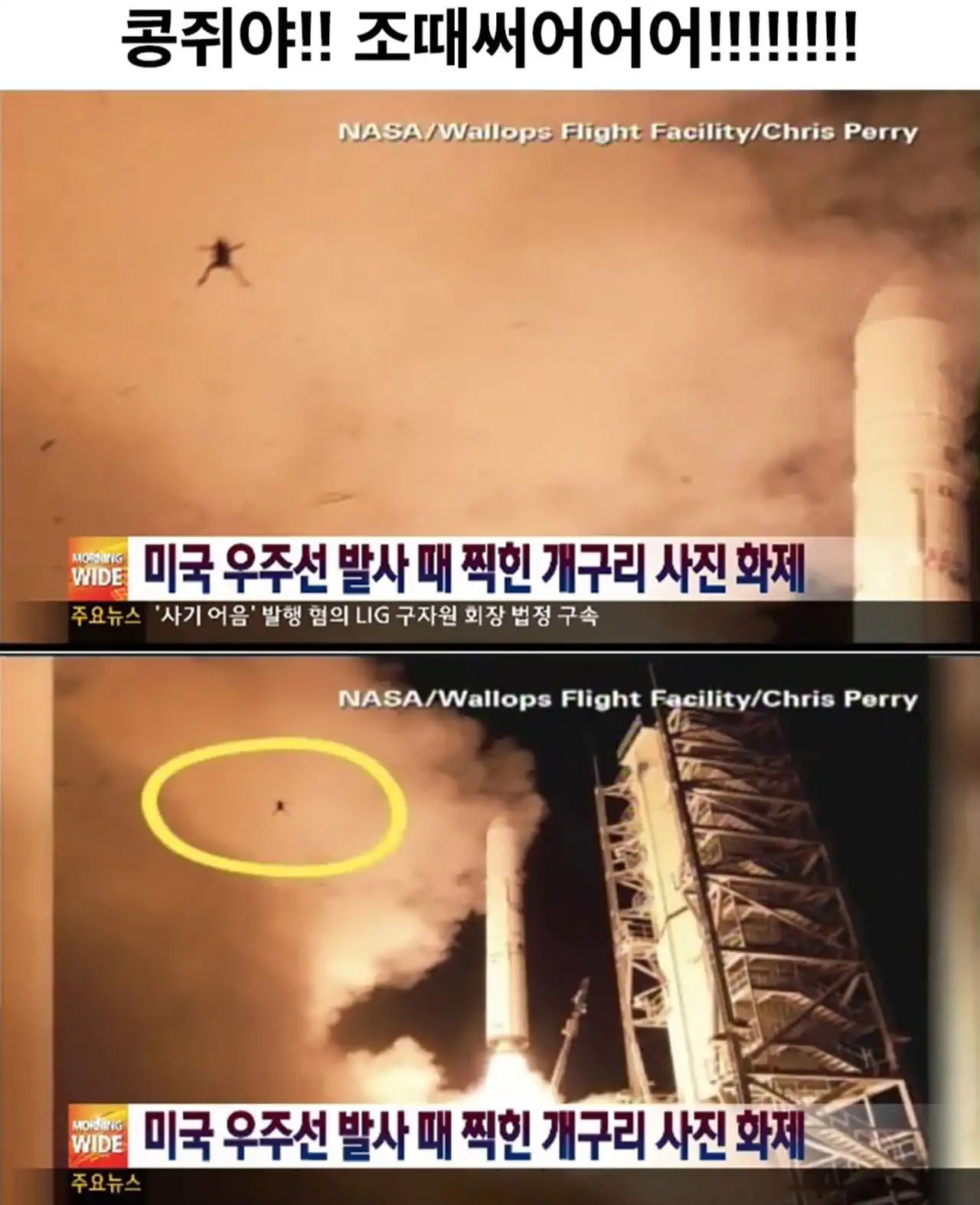 콩쥐야 좆됐어!!!!!!!!!!!!!.jyp