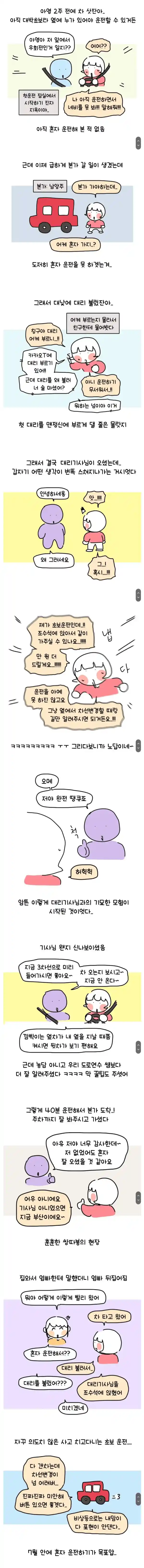 대낮에 맨정신으로 대리기사 부른 썰