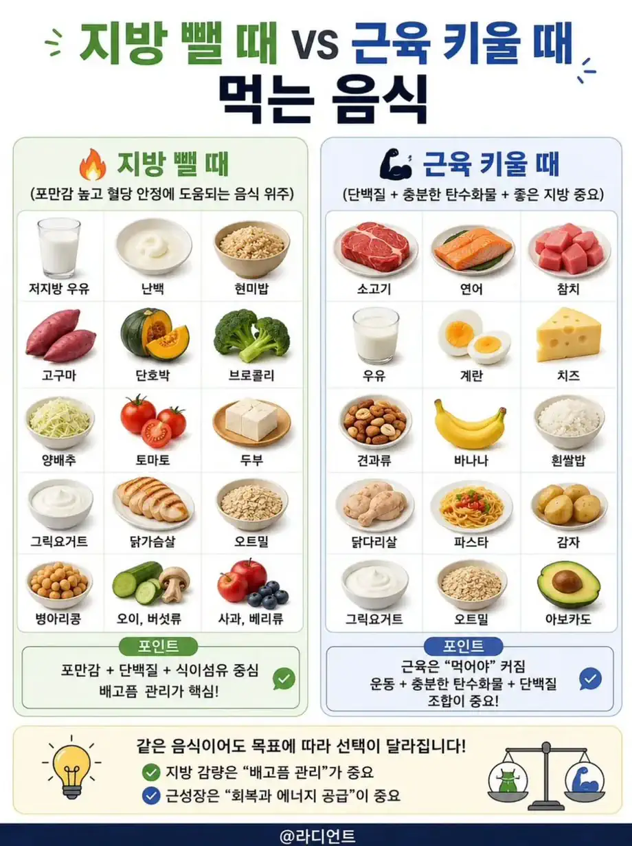 지방 뺄 때 VS 근육 키울 때 먹는 음식