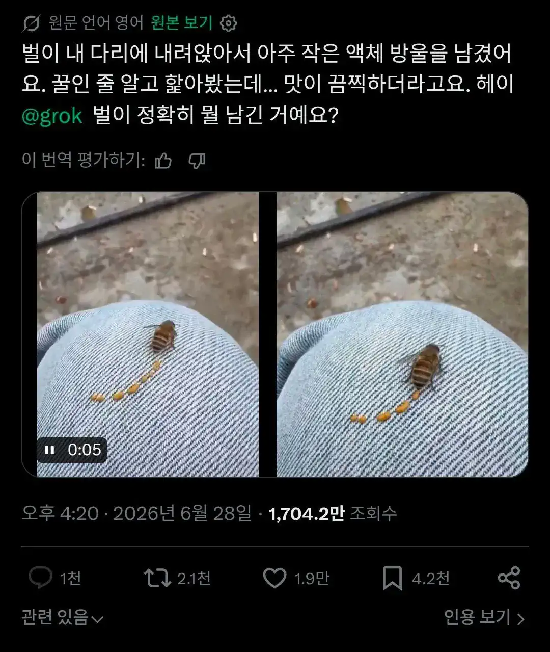 꿀벌이 주고 간 선물