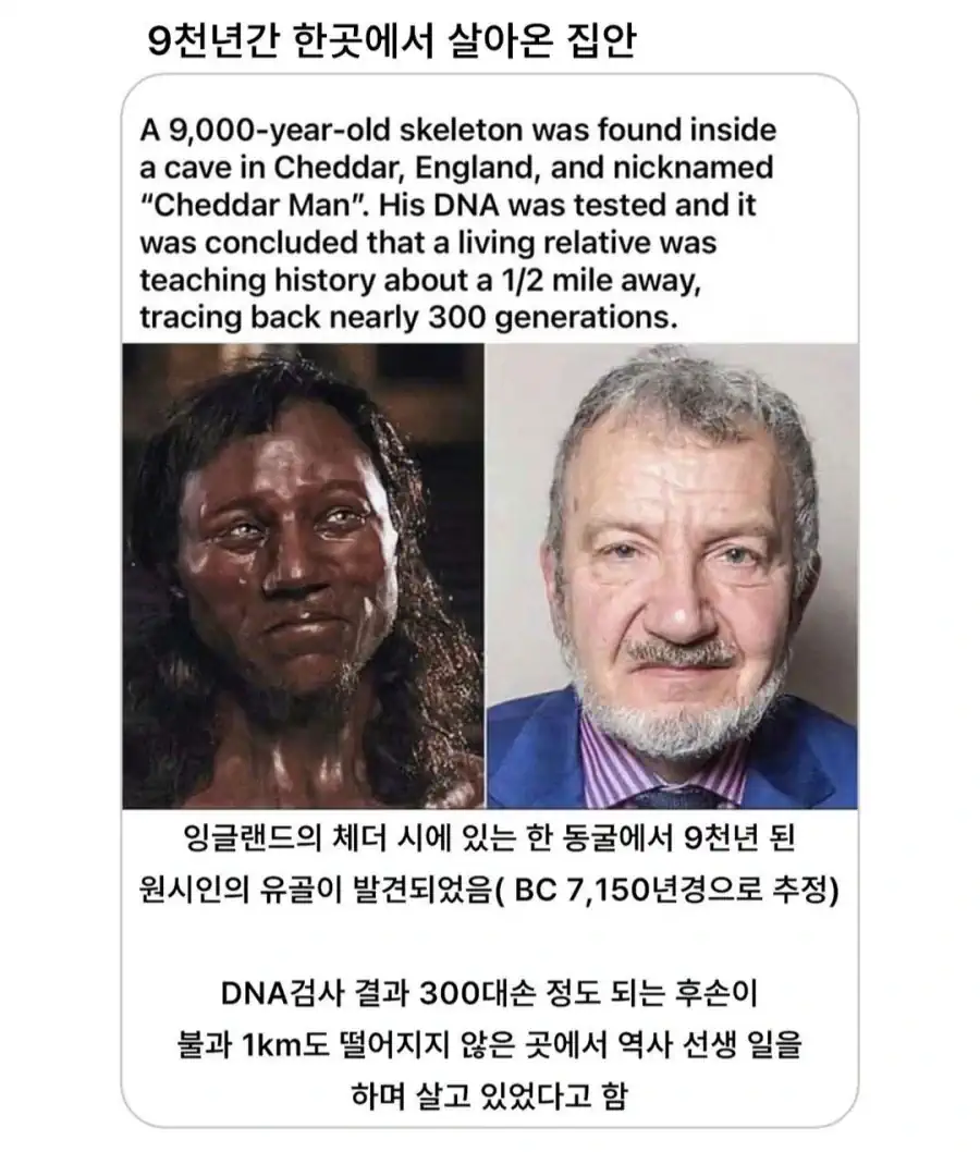 9천년동안 한곳에서 살아온 집안.jpg