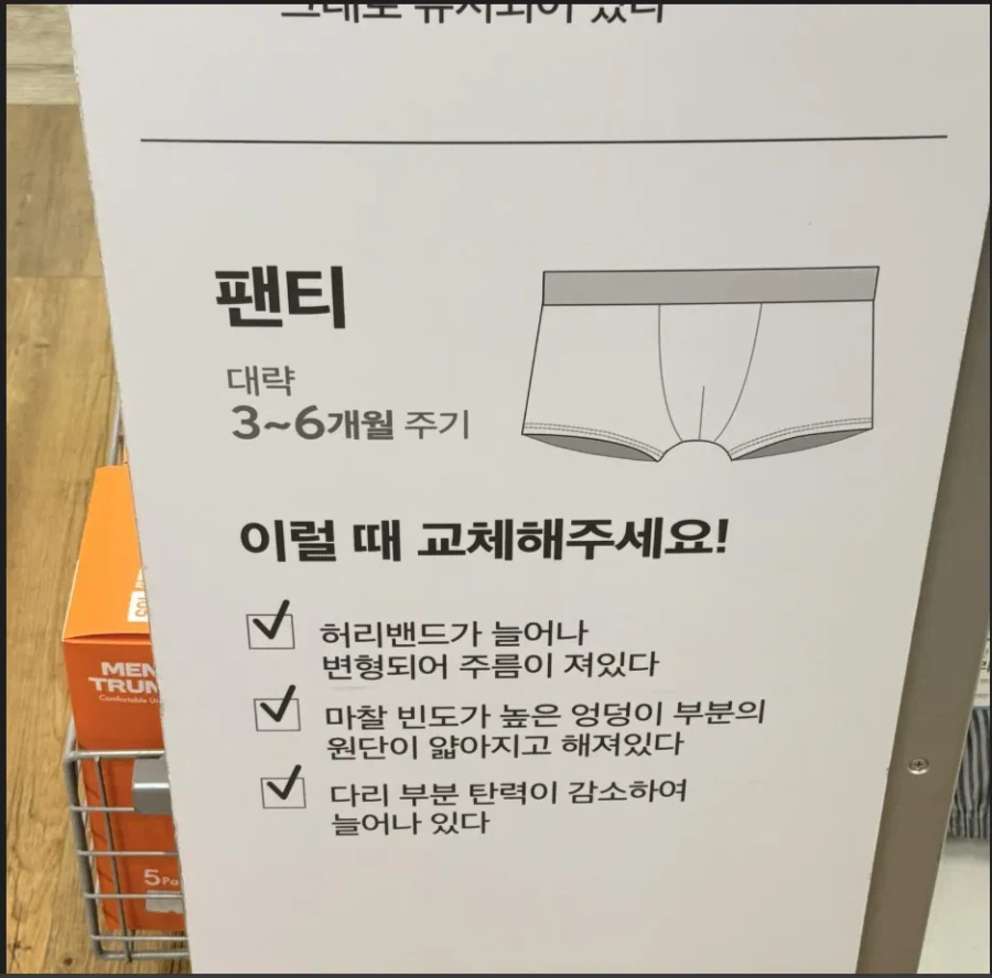 팬티교체 주기