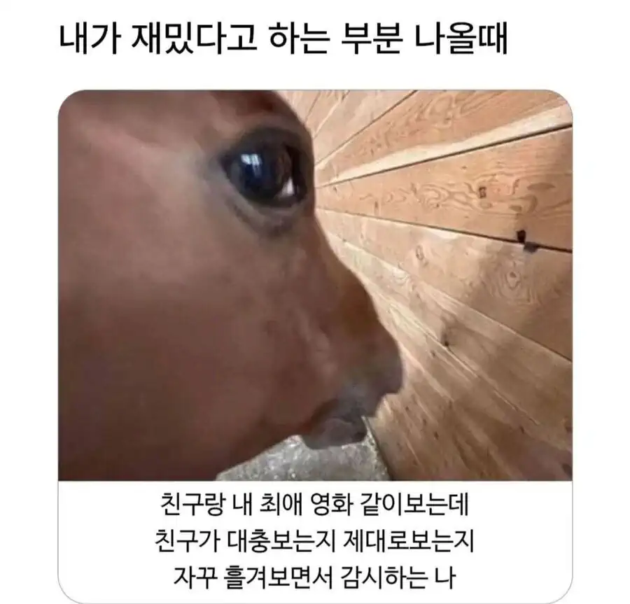 추천작 같이 볼때