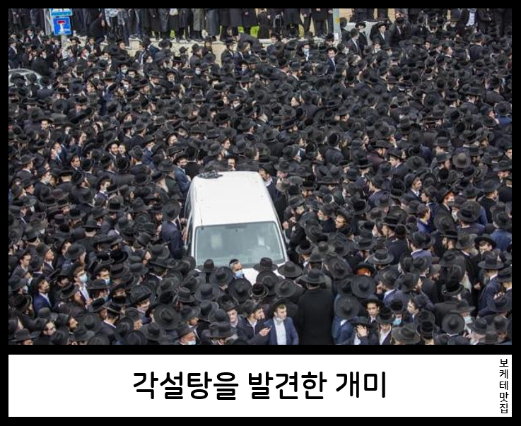 NEW 일본의 제목학원 보케테 모음