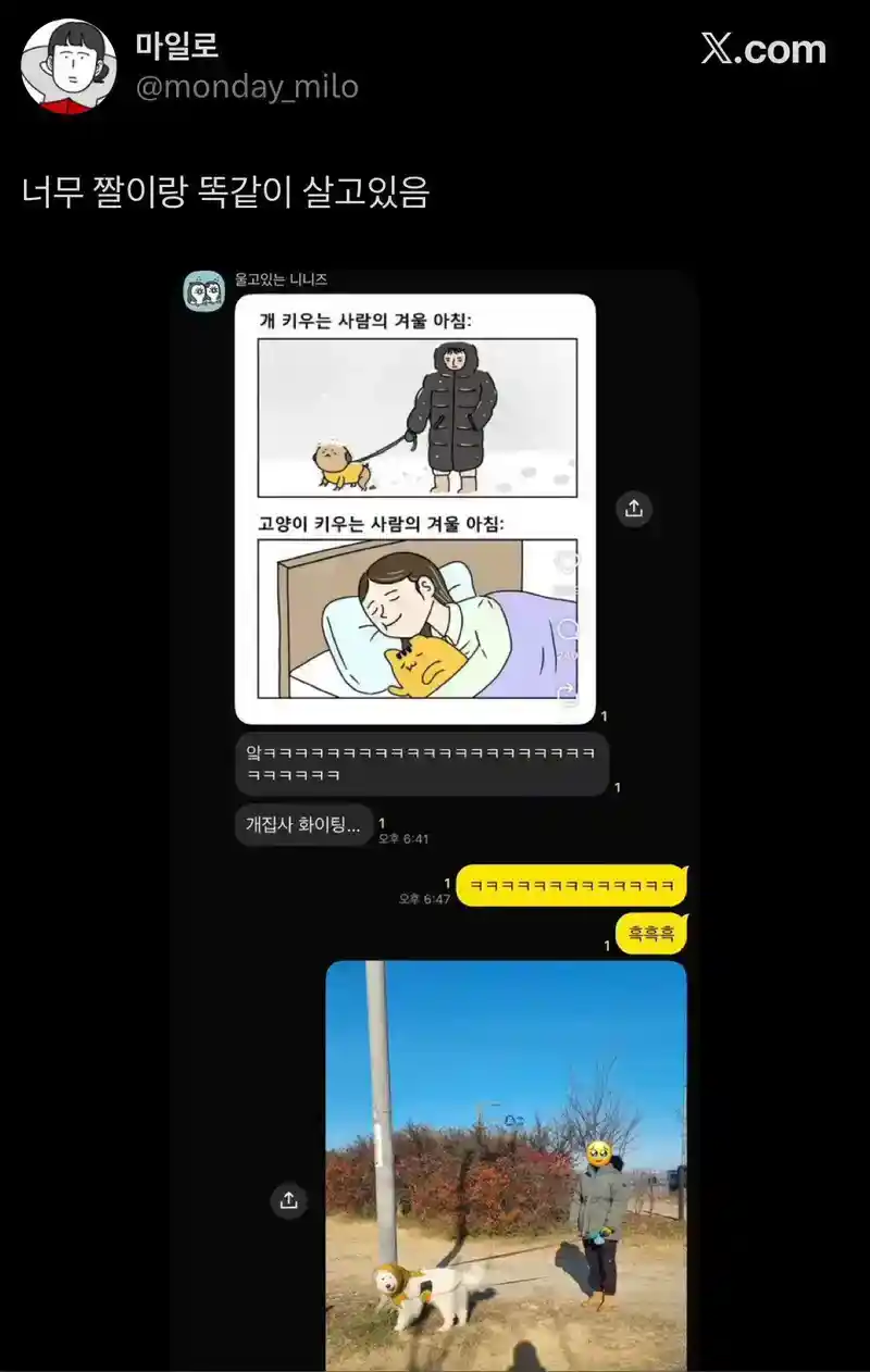 @ : 너무 짤이랑 똑같이 살고있음