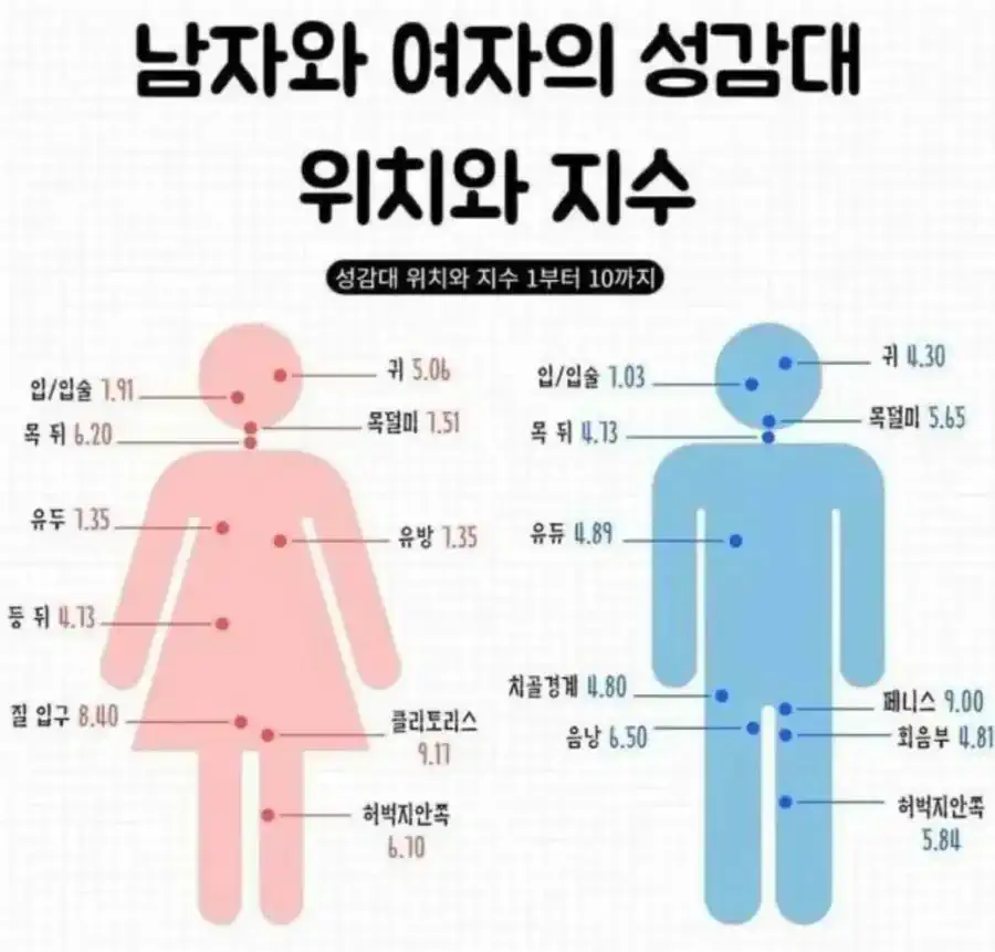 남자와 여자의 성감대 위치.JPG