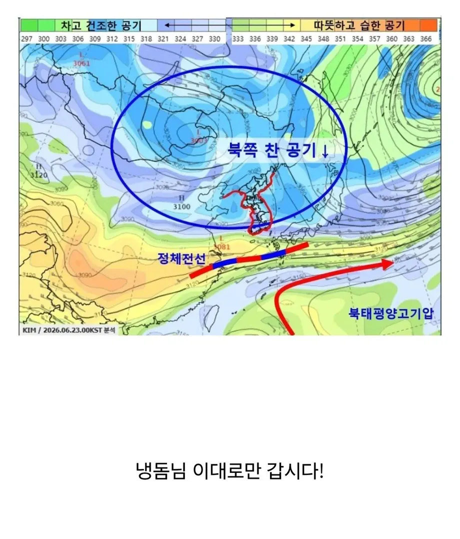 시원한 유럽식 여름인 대한민국 근황