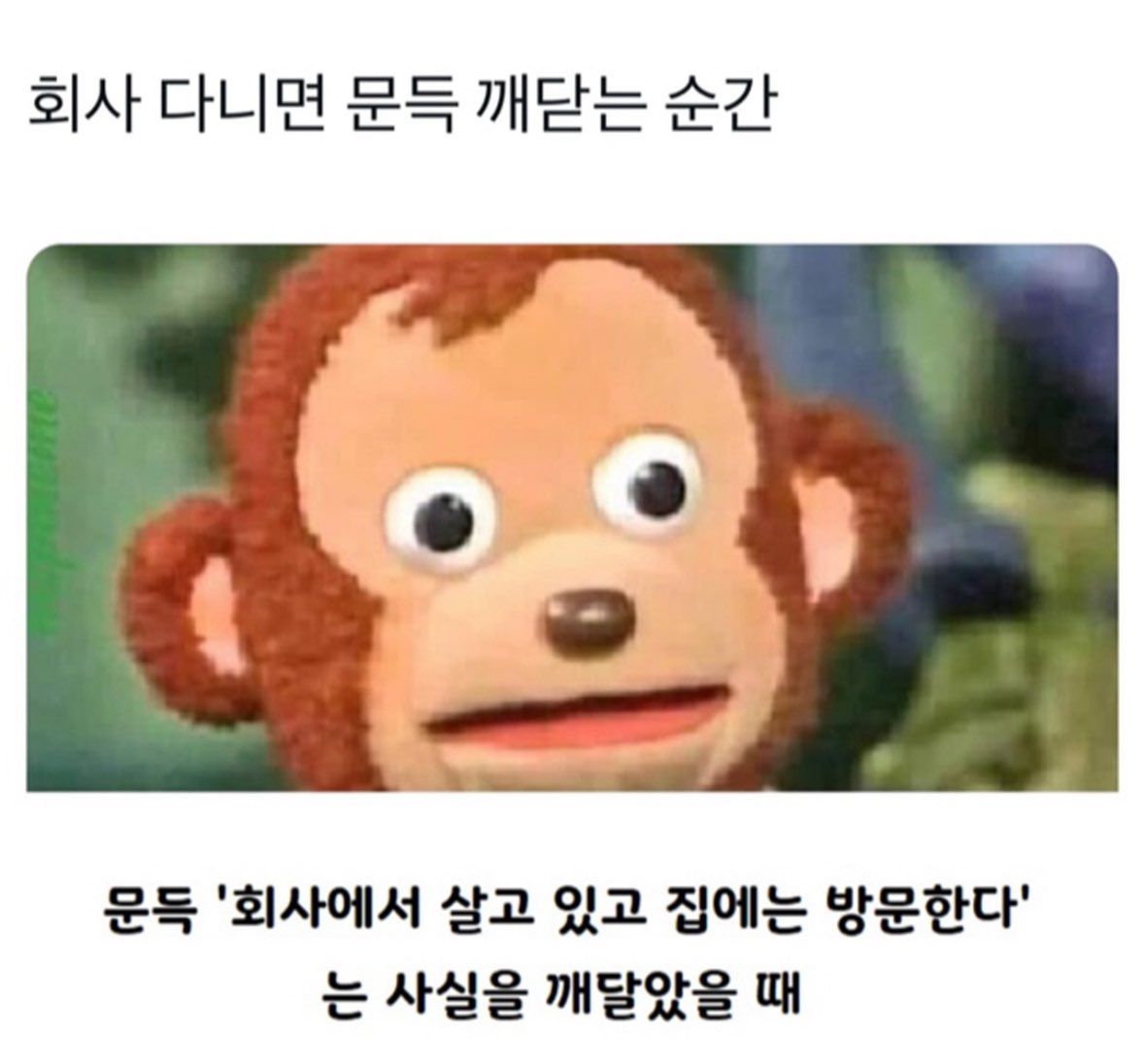 회사 다니면 문득 깨닫는 순간