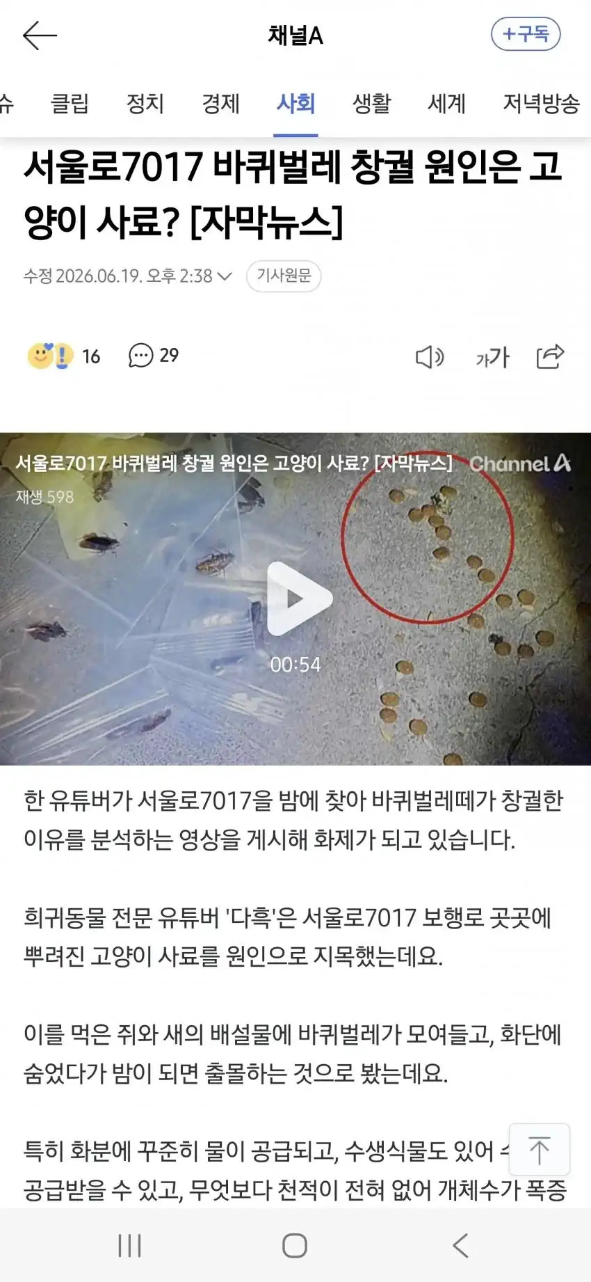 서울 벌레 사건 내막