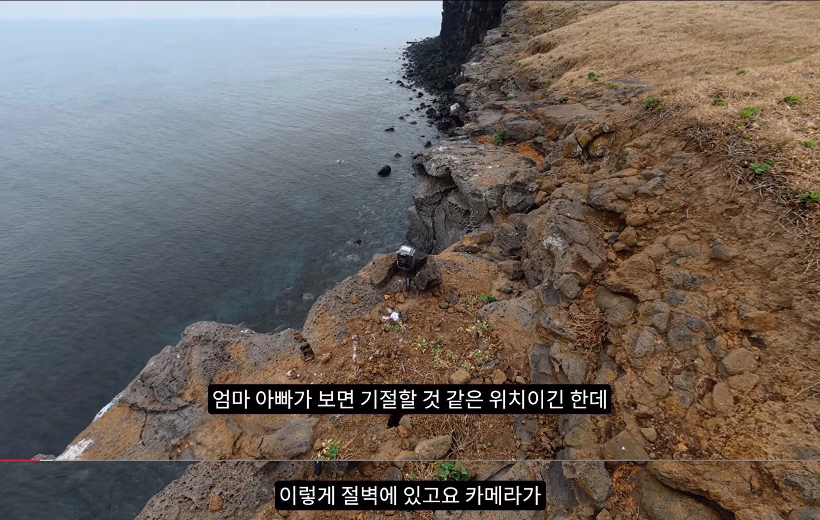 "누가 죽였을까?"