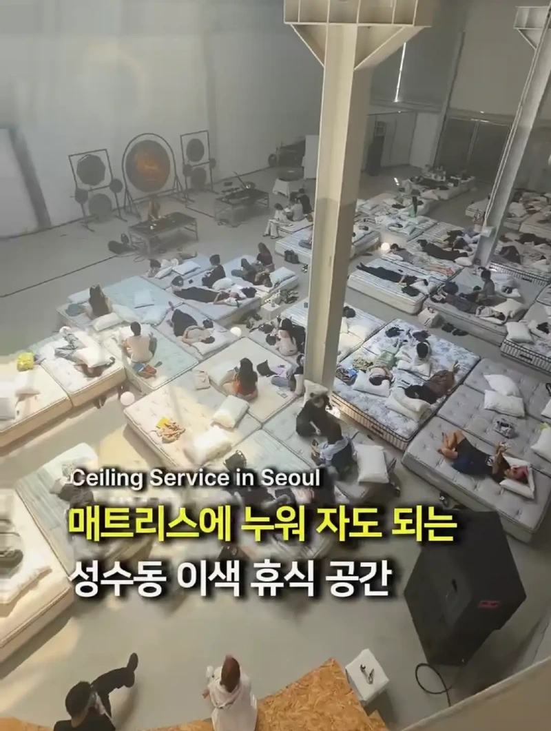성수동에 있다는 이색 휴식 공간.jpg