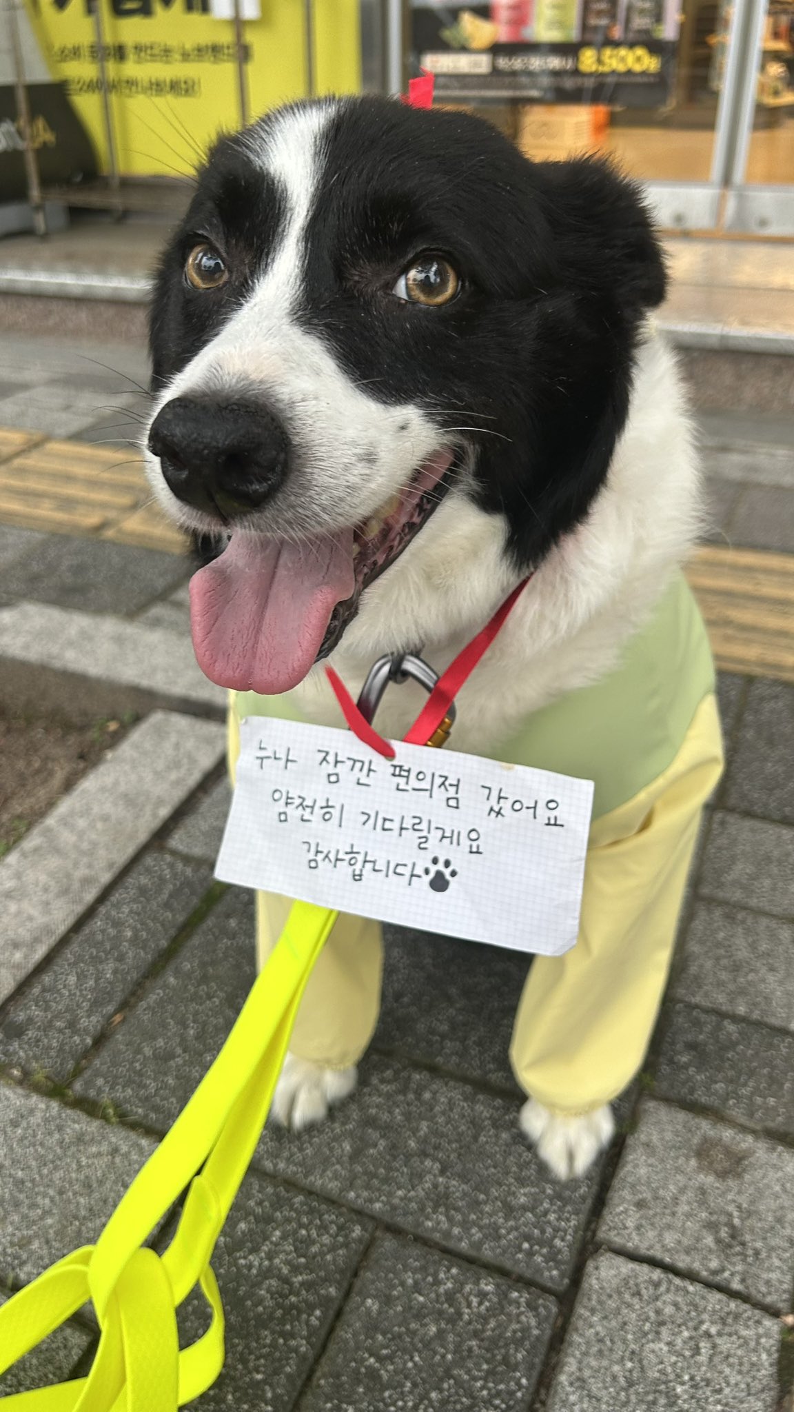 누나는 잠깐 편의점 갔어요