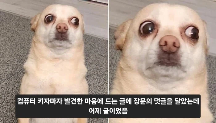 댓글 달았는데 굉장히 뻘쭘해지는 순간.jpg