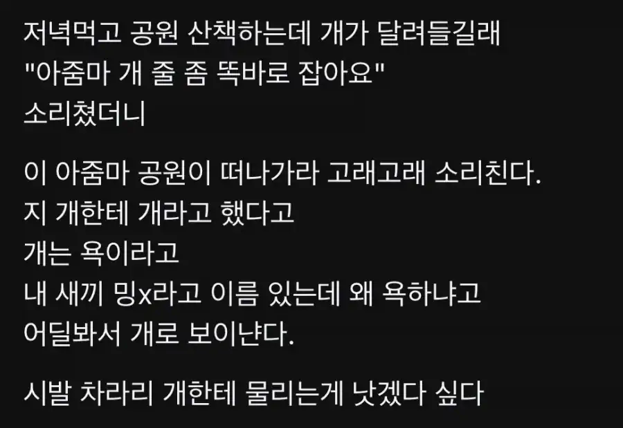 공원 산책하는데 개가 달려들길래 뭐라 했더니