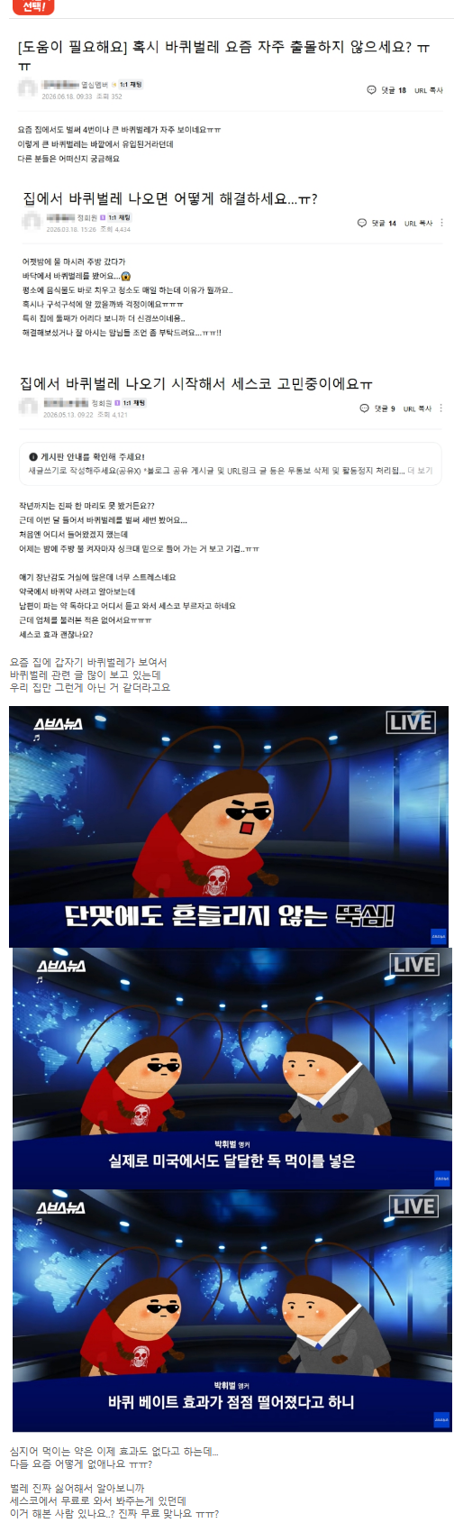요즘 집에서 자주 출몰한다는 벌레