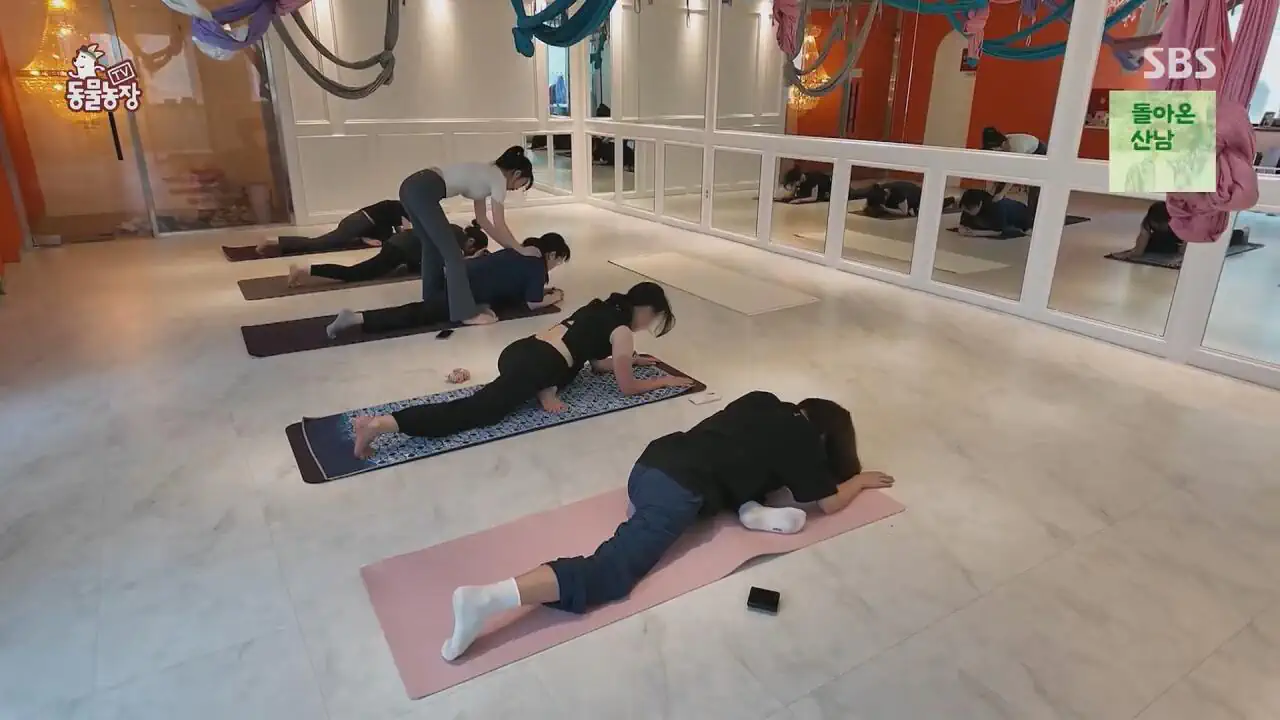 요가하는 강아지 크림이